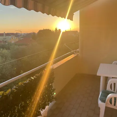 Dalmatina Zára